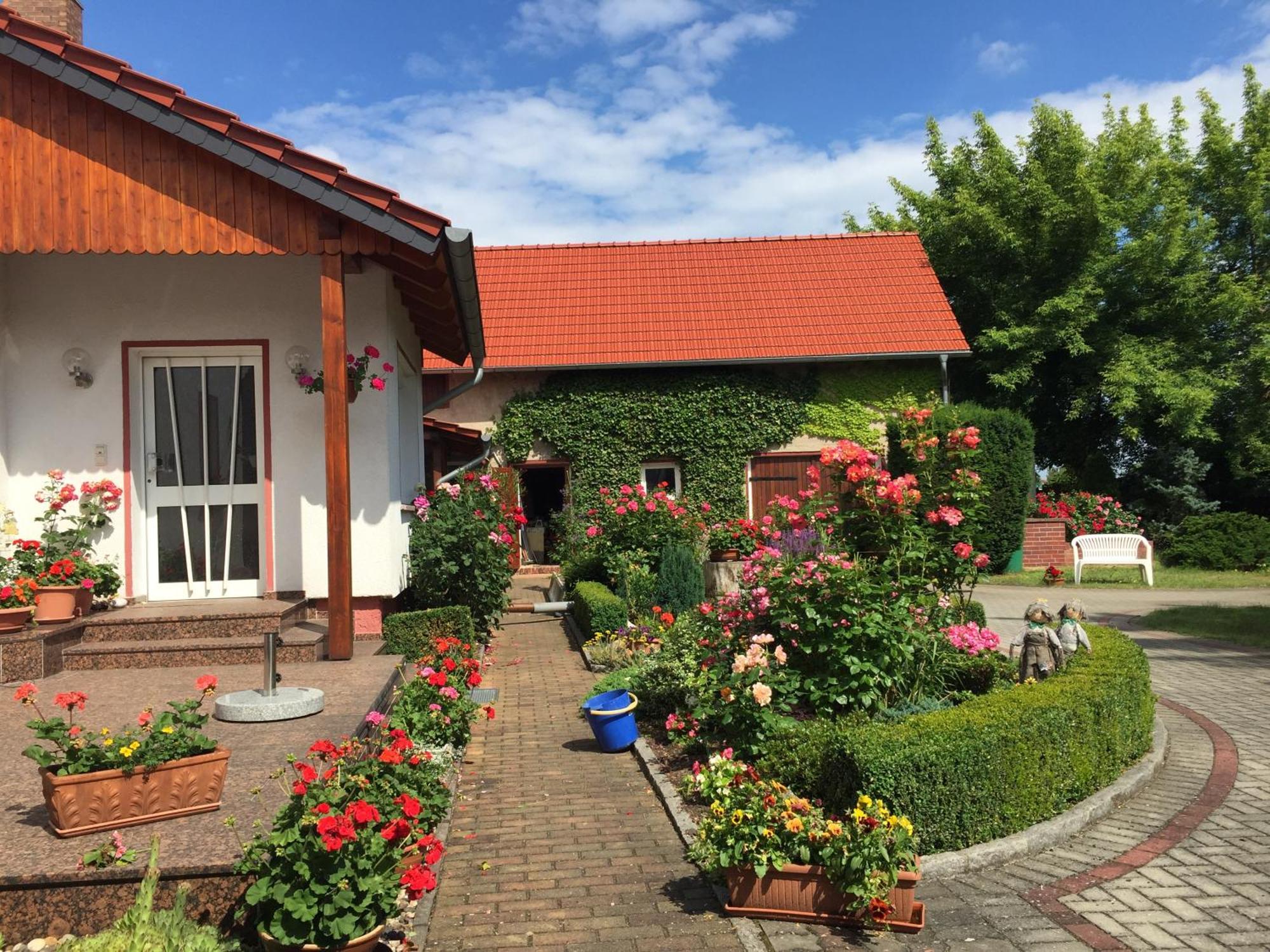 Top-Moderne Ferienwohnung Und Apartments Auf Frueherem Wunderschoenen Bauernhof Im Elbe-Elster-Kreis In Brandenburg Bei Herzberg-Elster, Schoenewalde, Holzdorf Экстерьер фото