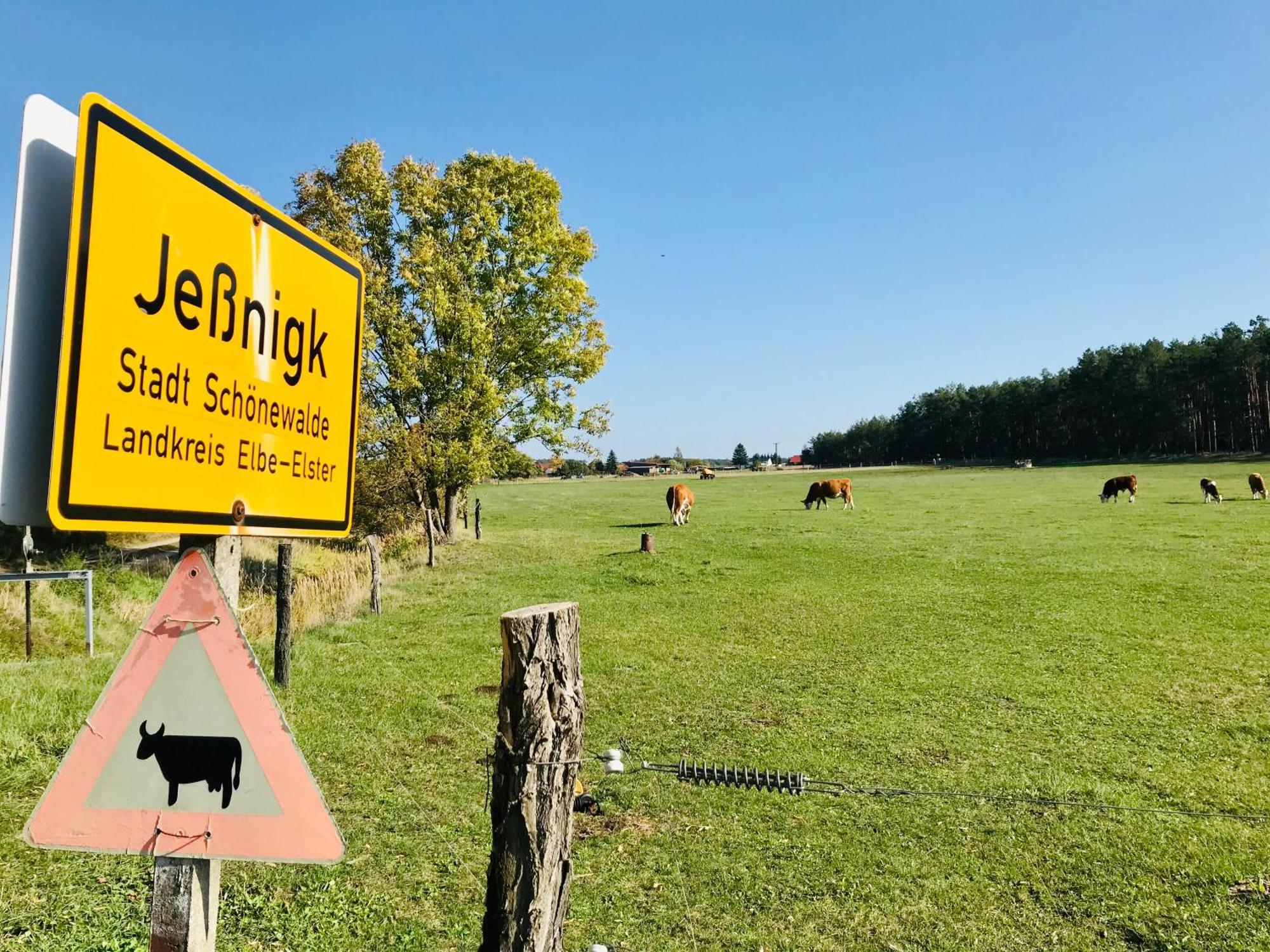 Top-Moderne Ferienwohnung Und Apartments Auf Frueherem Wunderschoenen Bauernhof Im Elbe-Elster-Kreis In Brandenburg Bei Herzberg-Elster, Schoenewalde, Holzdorf Экстерьер фото